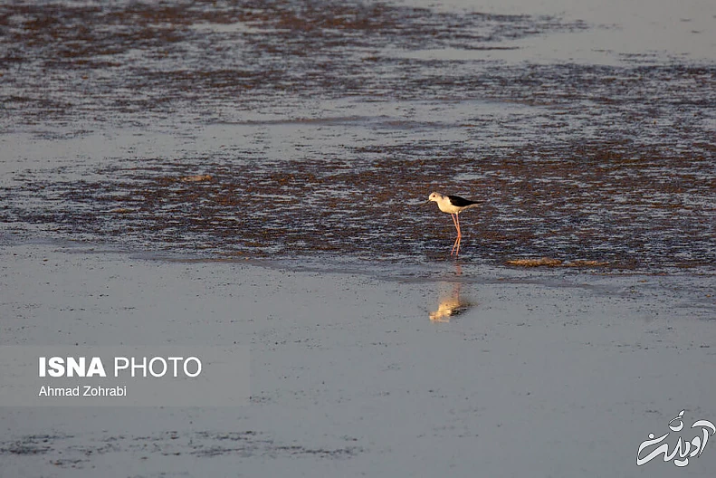 (تصاویر) طبیعت گردشگری قم